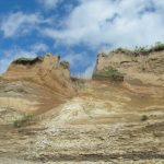 桐野夏生「だから荒野」